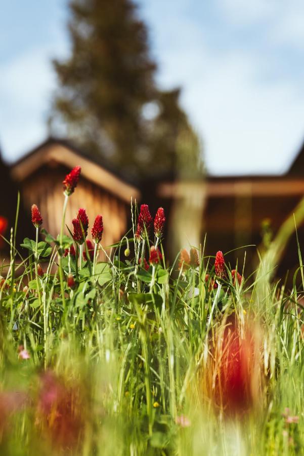 Hideaway Hotel Montestyria Chalets & Suiten Mariazell Luaran gambar